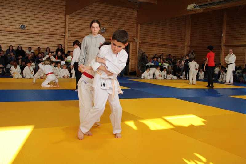 Renardo à Auneau - 29/03/25