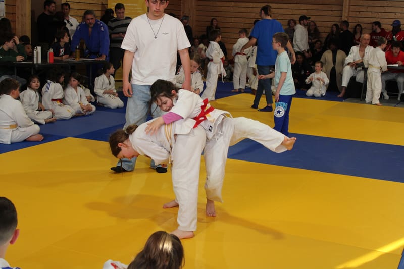 Renardo à Auneau - 29/03/25