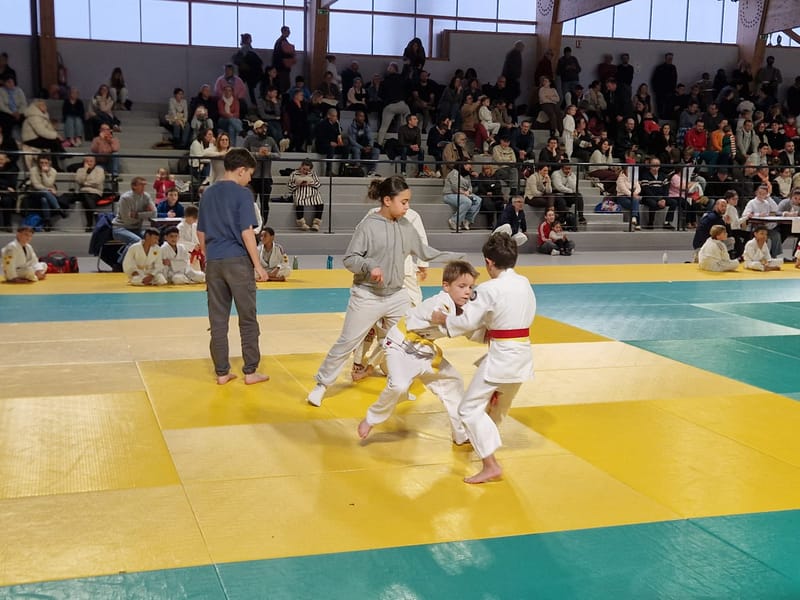 Rencontre Samouraï à St Georges sur Eure - 29/11/25