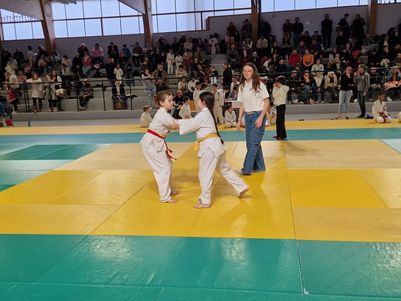 Rencontre Samouraï à St Georges sur Eure - 29/11/25