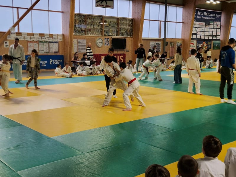 Rencontre Samouraï à St Georges sur Eure - 29/11/25