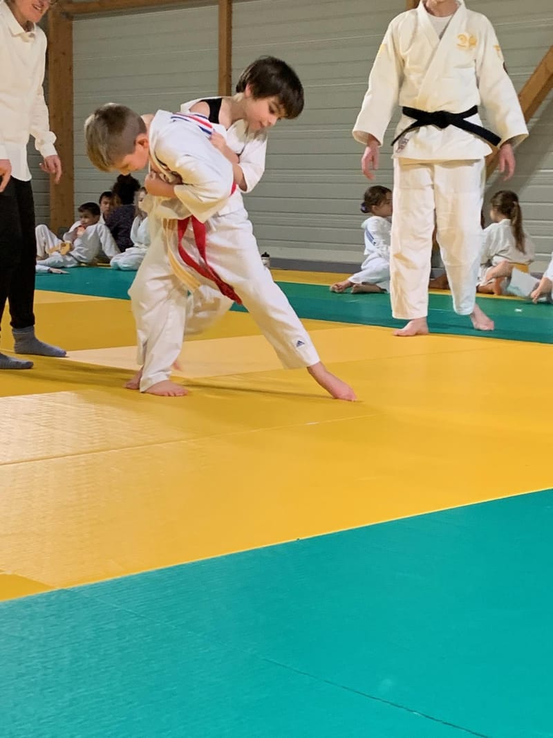 Renardo à St-Georges-sur-Eure - 29/11/25