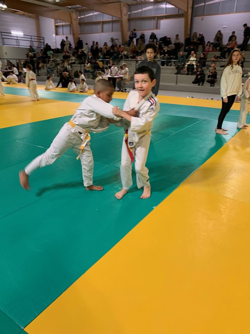 Renardo à St-Georges-sur-Eure - 29/11/25