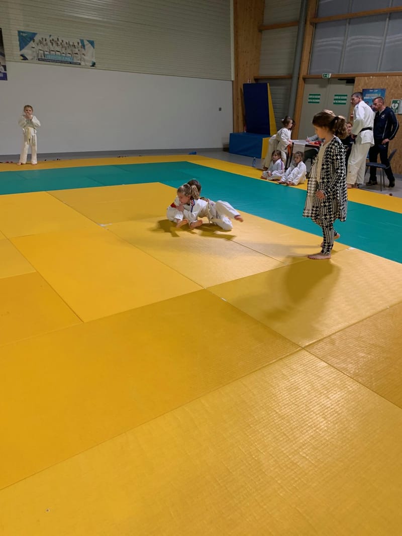 Renardo à St-Georges-sur-Eure - 29/11/25