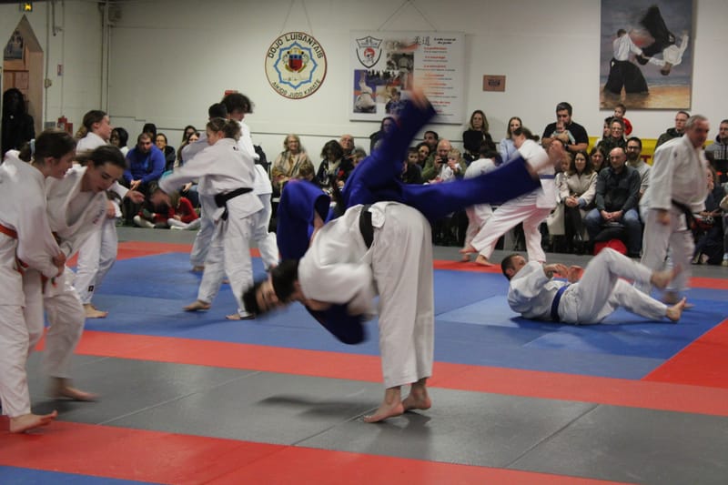 Fête de Noël - 19/12/25