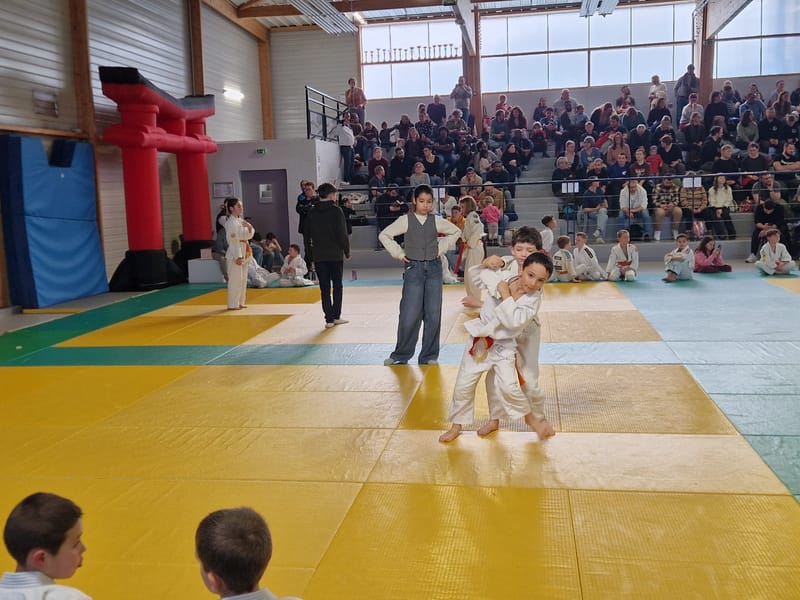 Tournoi Saint Georges sur Eure - 18/01/26
