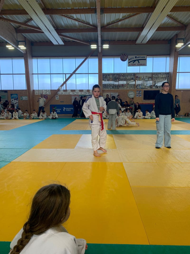 Tournoi Saint Georges sur Eure - 18/01/26