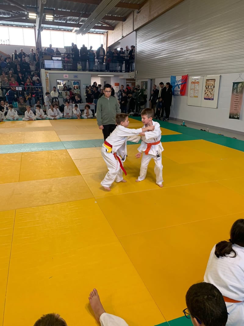 Tournoi Saint Georges sur Eure - 18/01/26