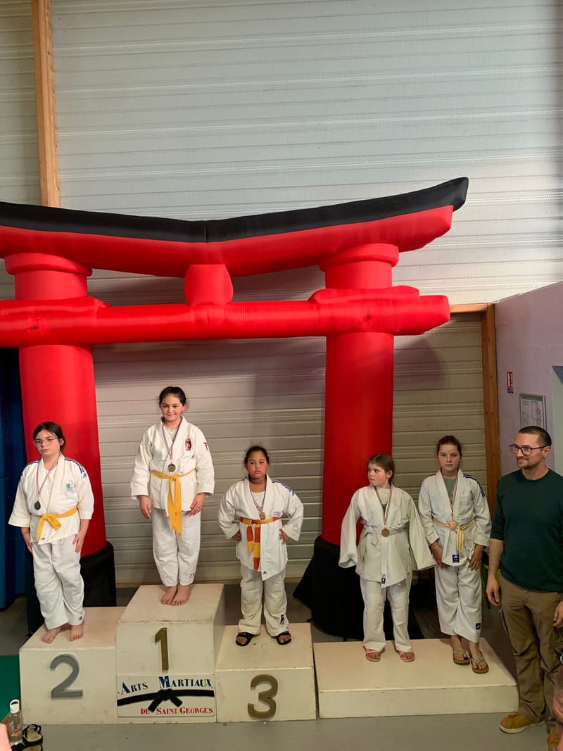 Tournoi Saint Georges sur Eure - 18/01/26