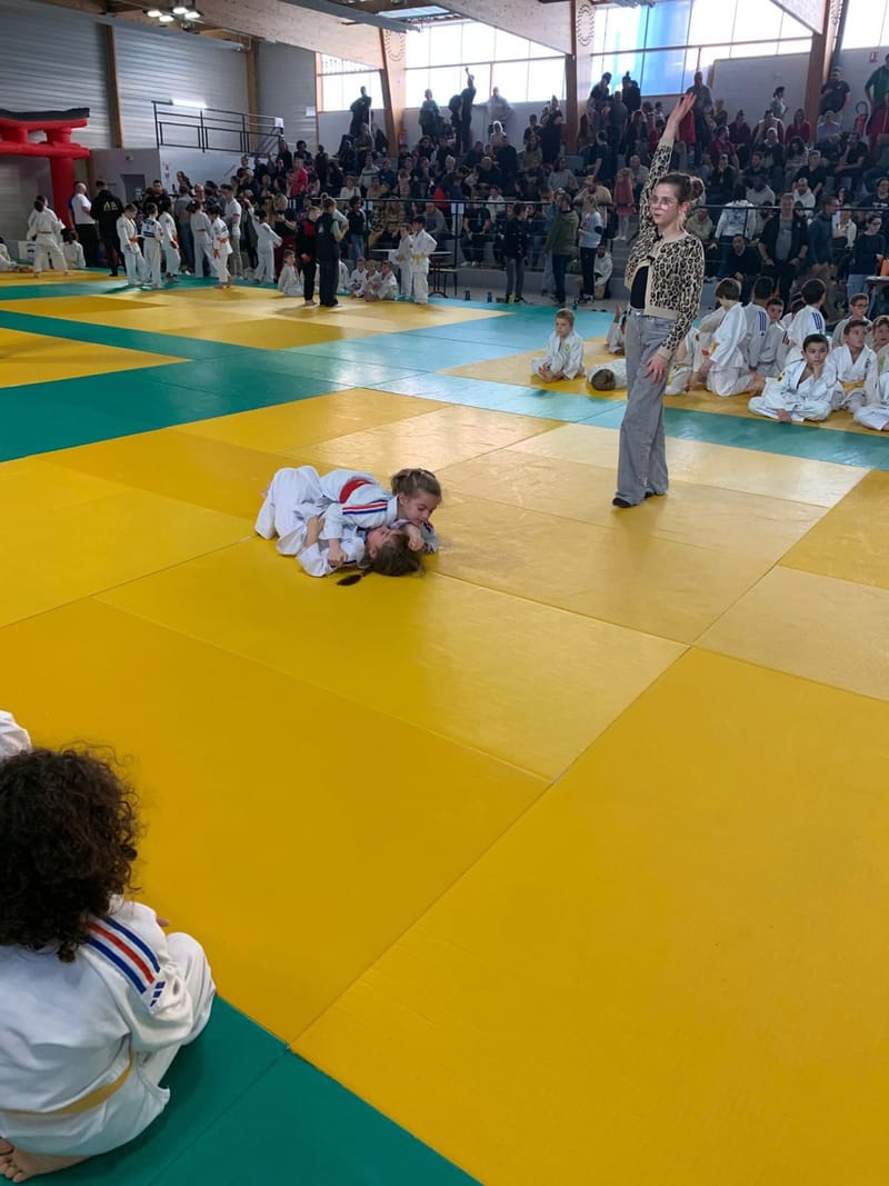 Tournoi Saint Georges sur Eure - 18/01/26