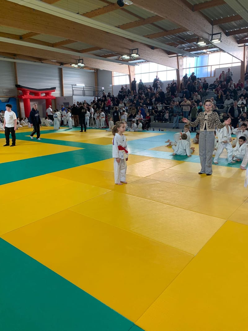 Tournoi Saint Georges sur Eure - 18/01/26