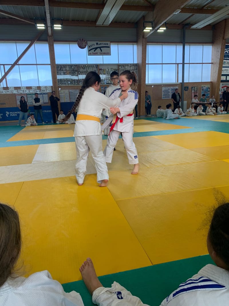 Tournoi Saint Georges sur Eure - 18/01/26