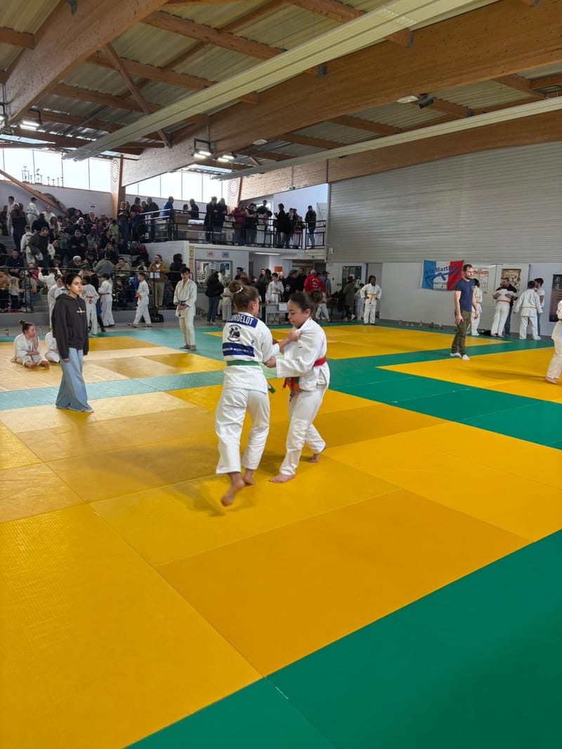 Tournoi Saint Georges sur Eure - 18/01/26