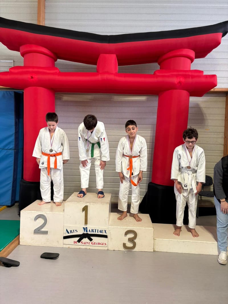 Tournoi Saint Georges sur Eure - 18/01/26