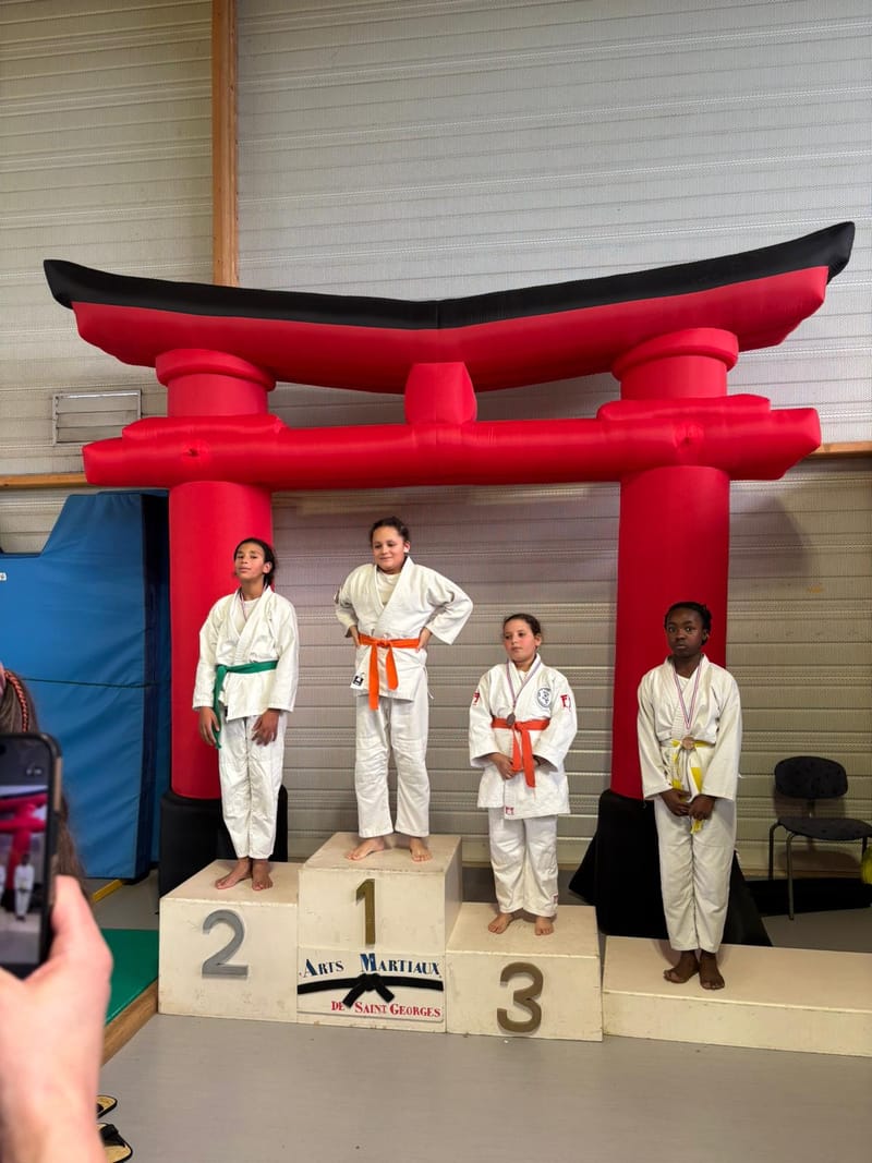 Tournoi Saint Georges sur Eure - 18/01/26