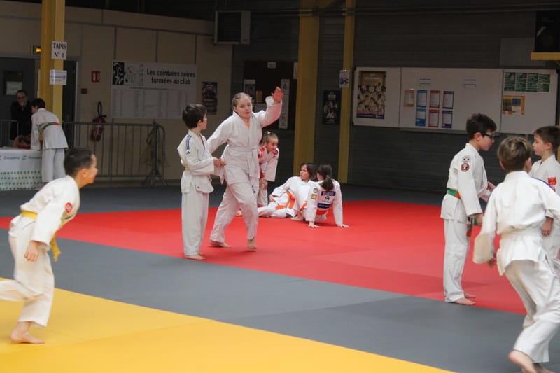 Samouraï à Nogent-le-Rotrou - 31/01/26