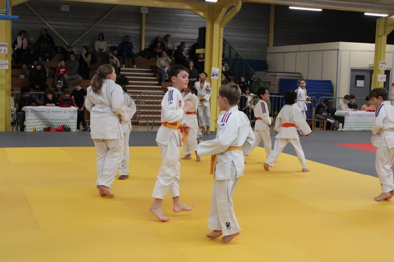 Samouraï à Nogent-le-Rotrou - 31/01/26