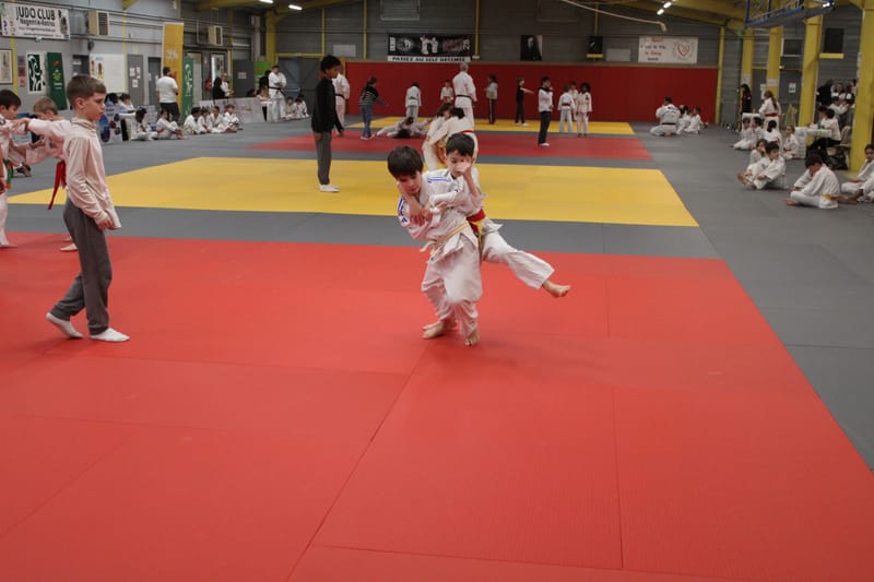 Samouraï à Nogent-le-Rotrou - 31/01/26