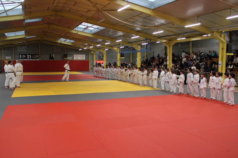 Renardo à Nogent-le-Rotrou - 31/01/26