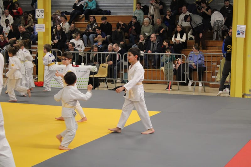 Renardo à Nogent-le-Rotrou - 31/01/26