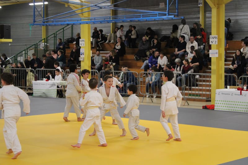 Renardo à Nogent-le-Rotrou - 31/01/26