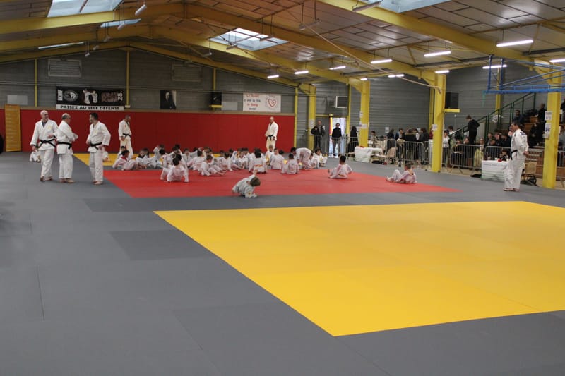 Renardo à Nogent-le-Rotrou - 31/01/26