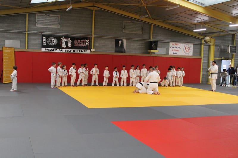 Renardo à Nogent-le-Rotrou - 31/01/26