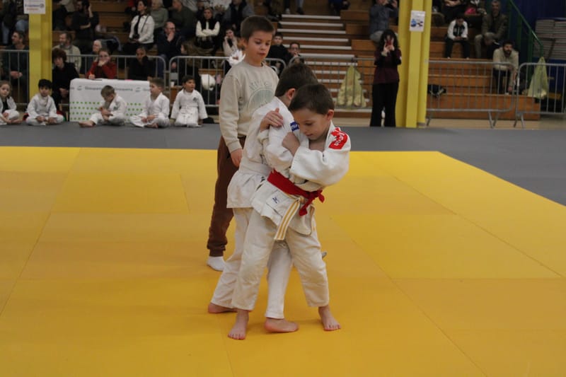 Renardo à Nogent-le-Rotrou - 31/01/26