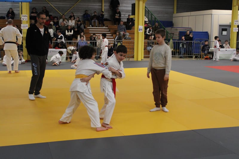 Renardo à Nogent-le-Rotrou - 31/01/26