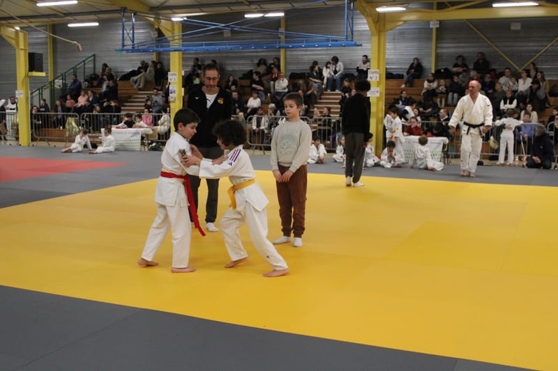 Renardo à Nogent-le-Rotrou - 31/01/26