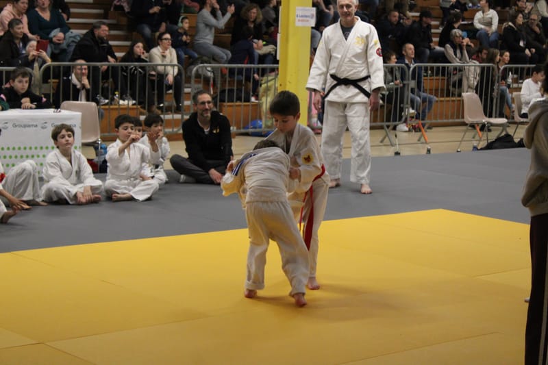 Renardo à Nogent-le-Rotrou - 31/01/26