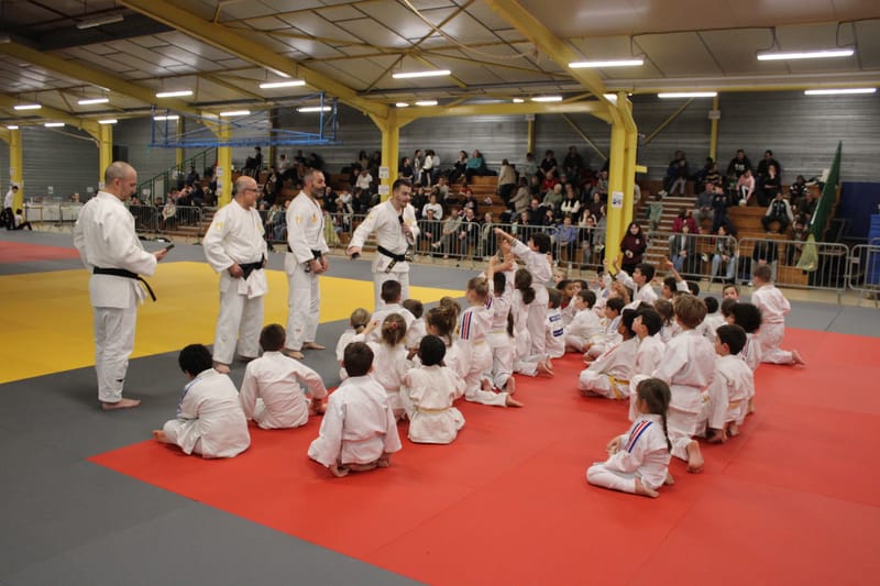 Renardo à Nogent-le-Rotrou - 31/01/26