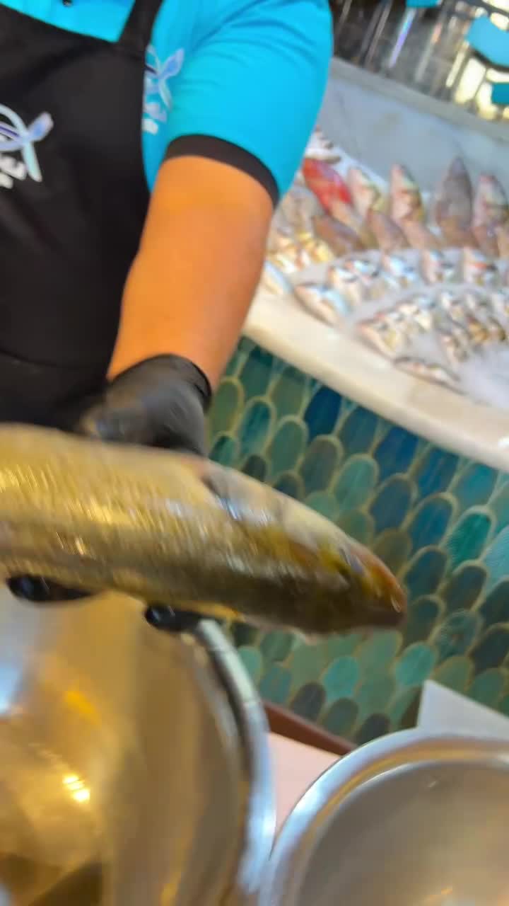 live Reels