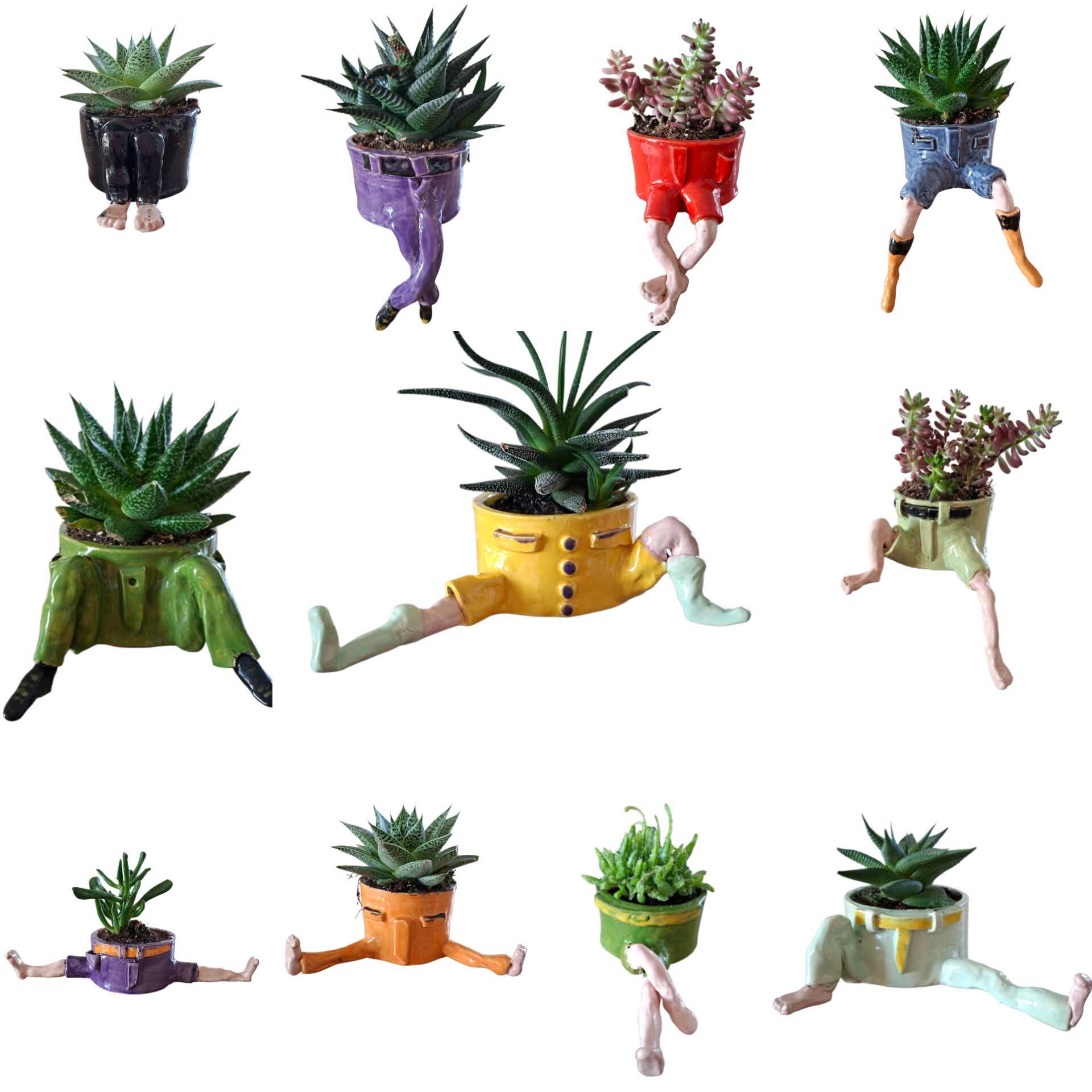 Leuke bloempotjes met benen