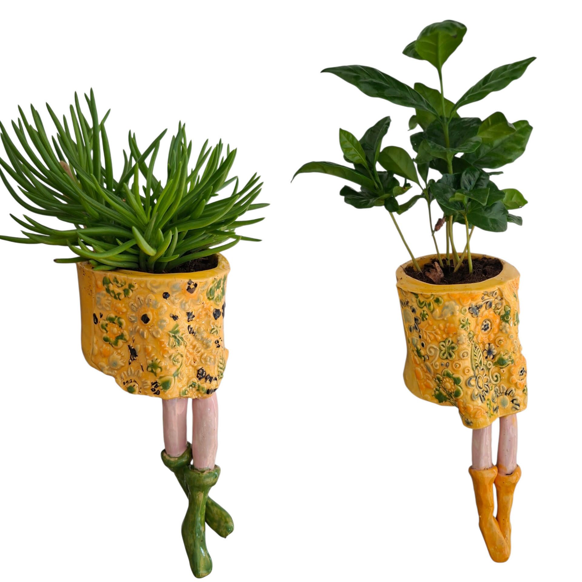 Cute flower pots