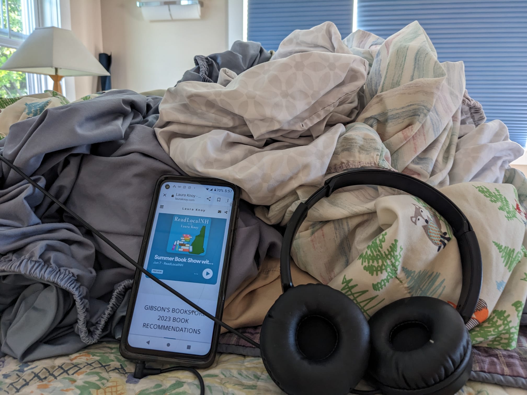 Podcasts Make Chores Fun