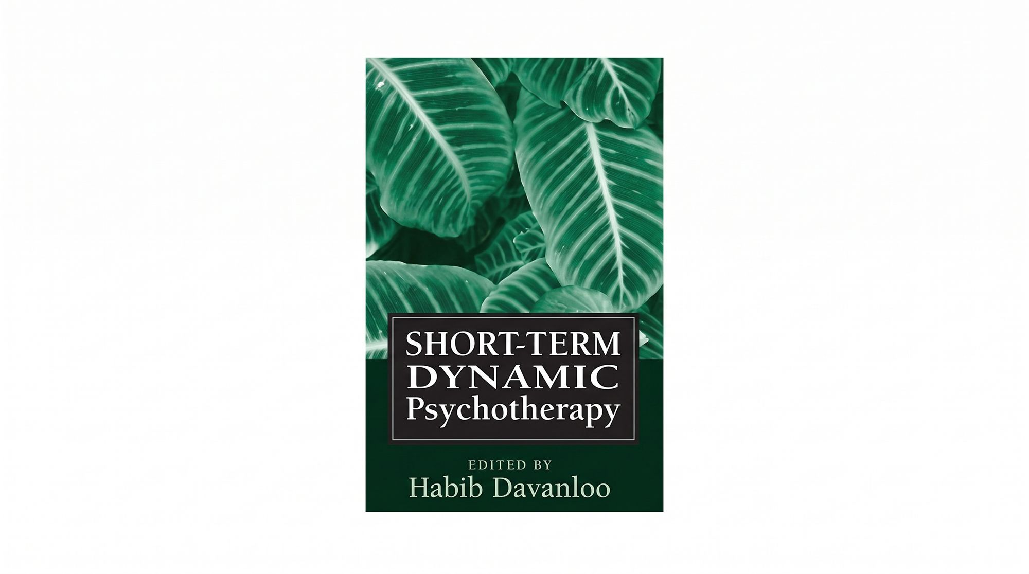 DAVANLOO HABIB        INTENSIVESHORT-TERM        DYNAMIC PSYCHOTHERAPY IN PRACTICE