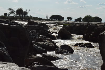 Tsavo east safaripark