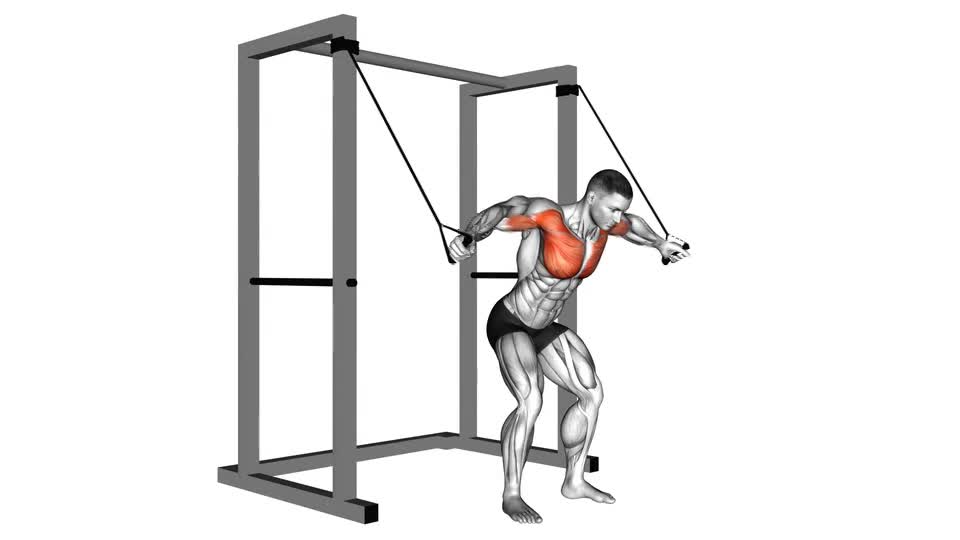 CRUCE ALTO CON ELASTICOS