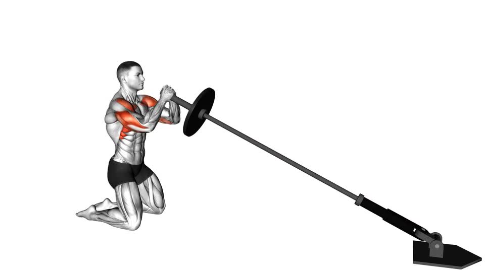 PRESS LANDMINE DE RODILLAS