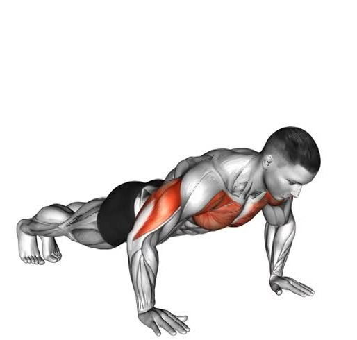 FLEXIONES CON MOVIDA AL LATERAL