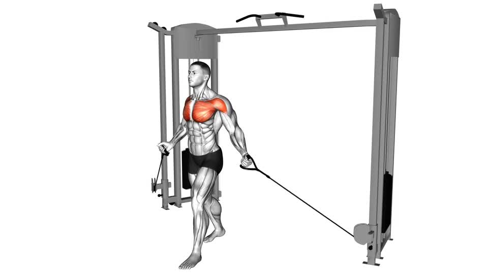 ELEVACION PECHO EN POLEAS