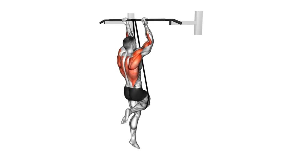 DOMINADAS CON ELASTICO AGARRE INVERTIDO