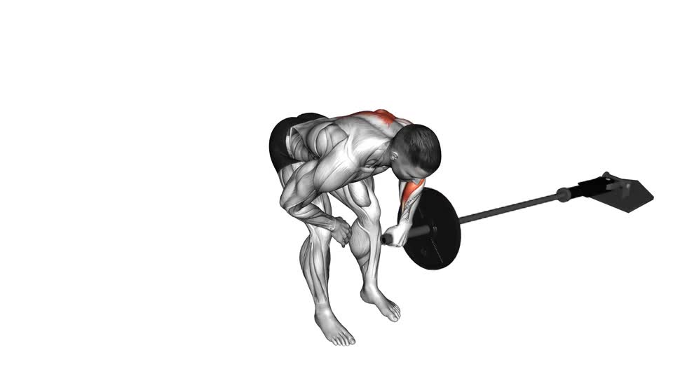 REMO A 1 BRAZO EN LANDMINE