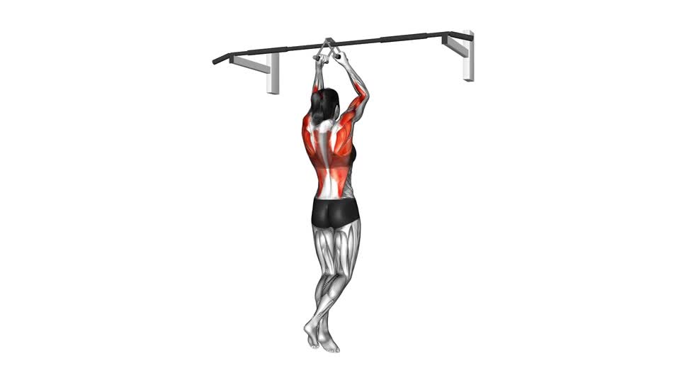 DOMINADAS AGARRE CERRADO