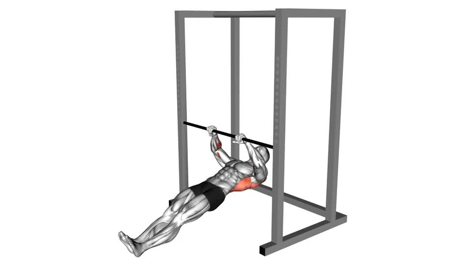 DOMINADAS AUSTRALIANAS