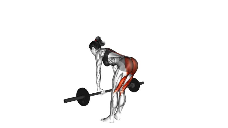 PESO MUERTO RUMANO ALEJANDO BARRA