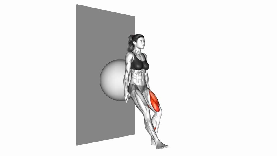 SENTADILLA A 1 PIE EN PELOTA