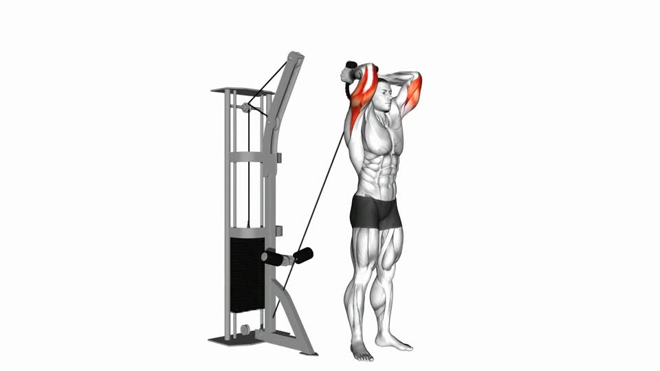 JALON TRICEPS POLEA BAJA TRASNUCA CON SOGA