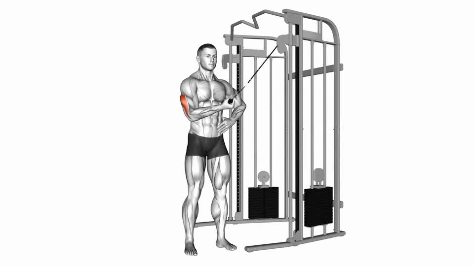 JALON TRICEPS A 1 BRAZO CRUZADO EN POLEA ALTA